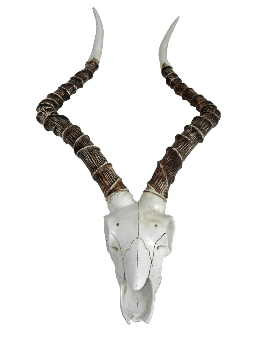 Harms Impalakopf  Wanddekoration Wandskulptur