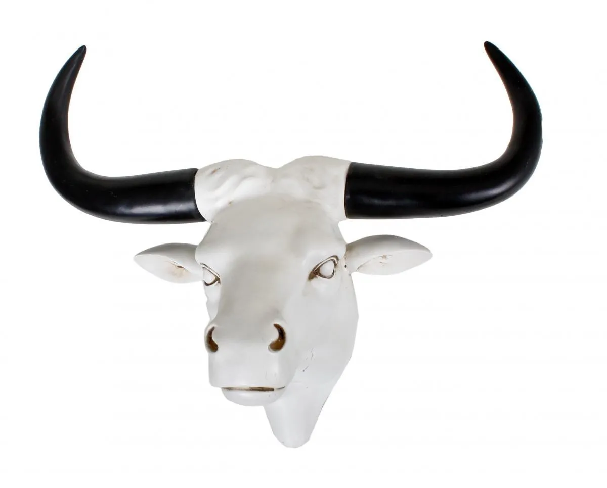 Harms Geweih, Büffel, 2er Set