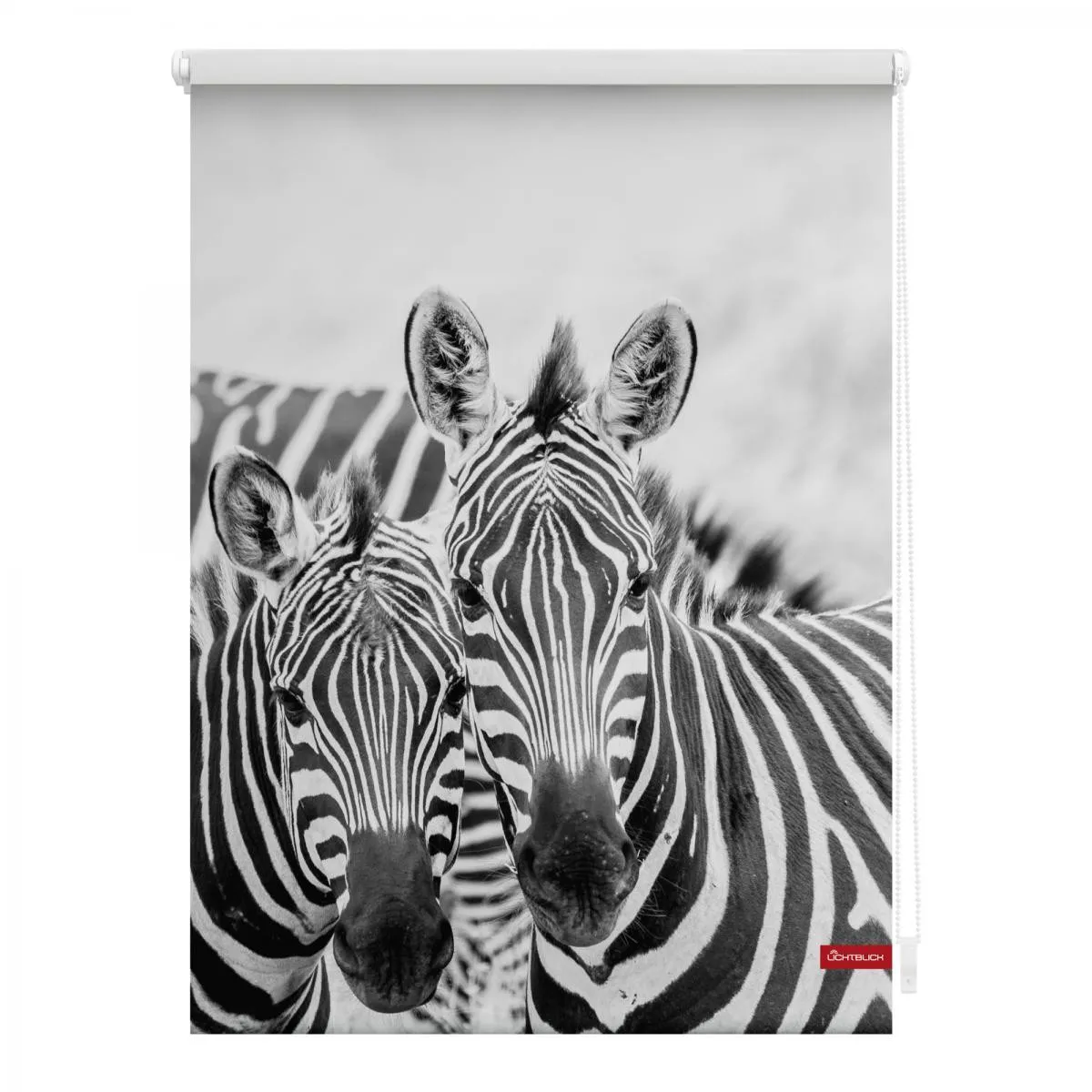 Rollo Klemmfix, ohne Bohren, blickdicht, Zebra - Weiß Türkis, 100 cm x 150 cm (B x L)