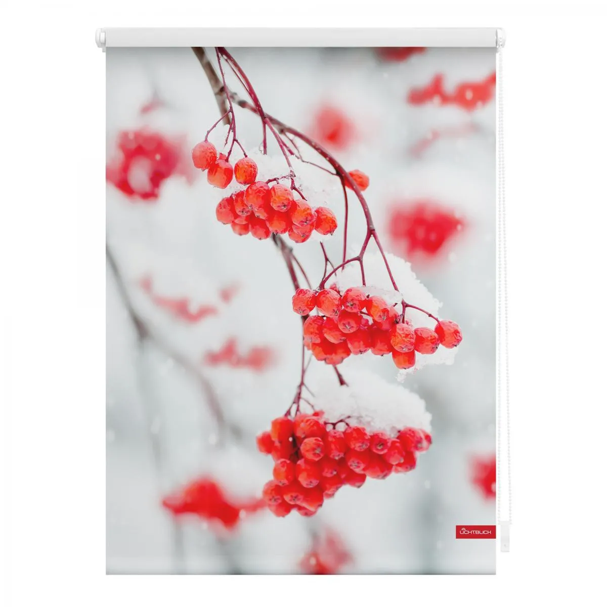 Rollo Klemmfix, ohne Bohren, blickdicht, Vogelbeeren - Rot Weiß, 100 cm x 150 cm (B x L)