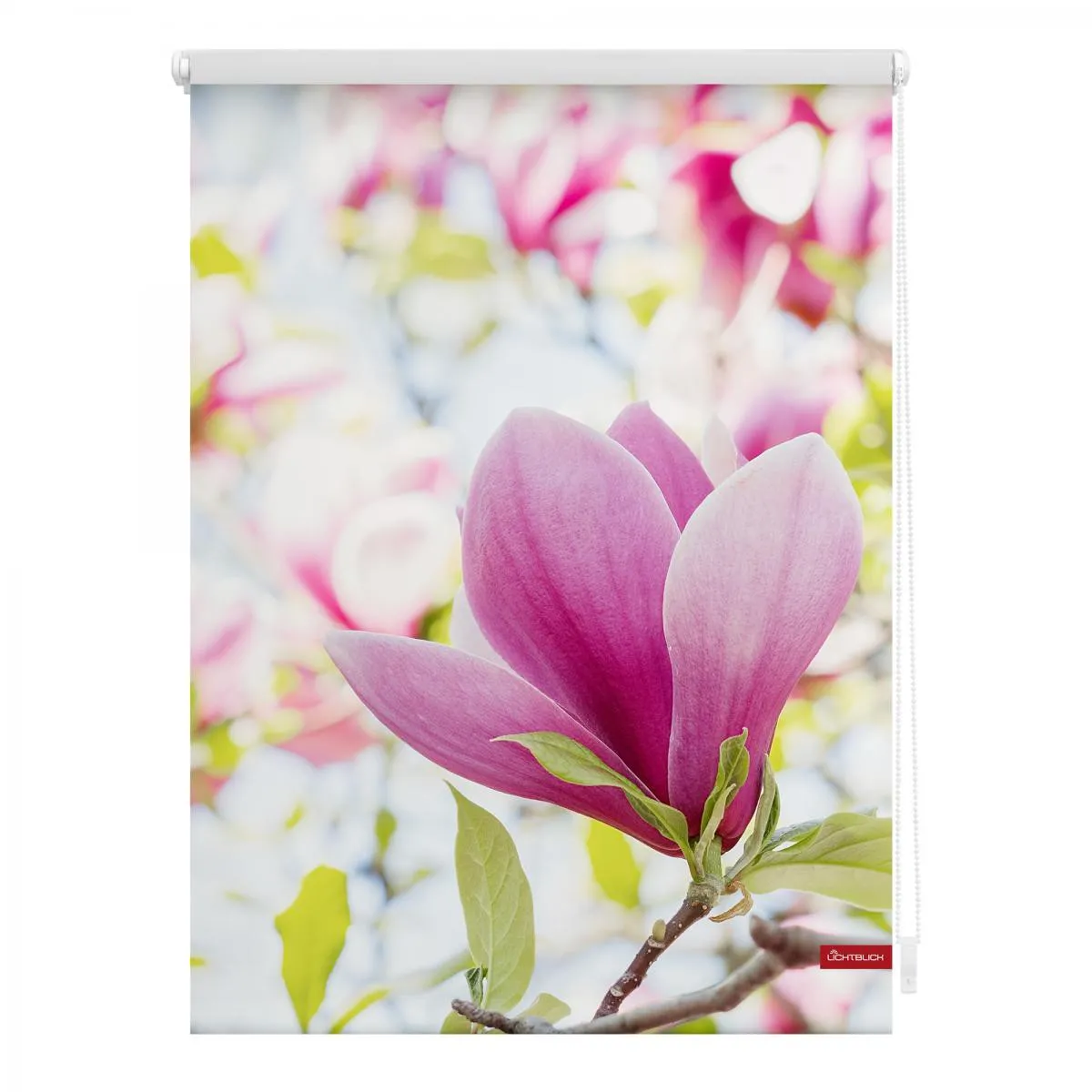 Rollo Klemmfix, ohne Bohren, blickdicht, Magnolie - Rosa, 120 x 150 cm (B x L)