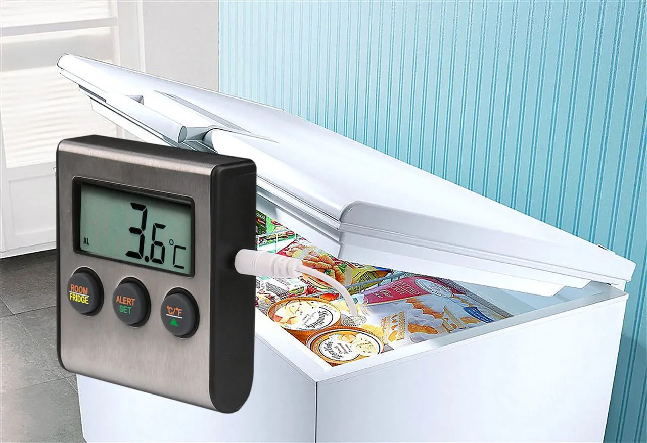 Temperatursensor OLYMPIA FTS 200