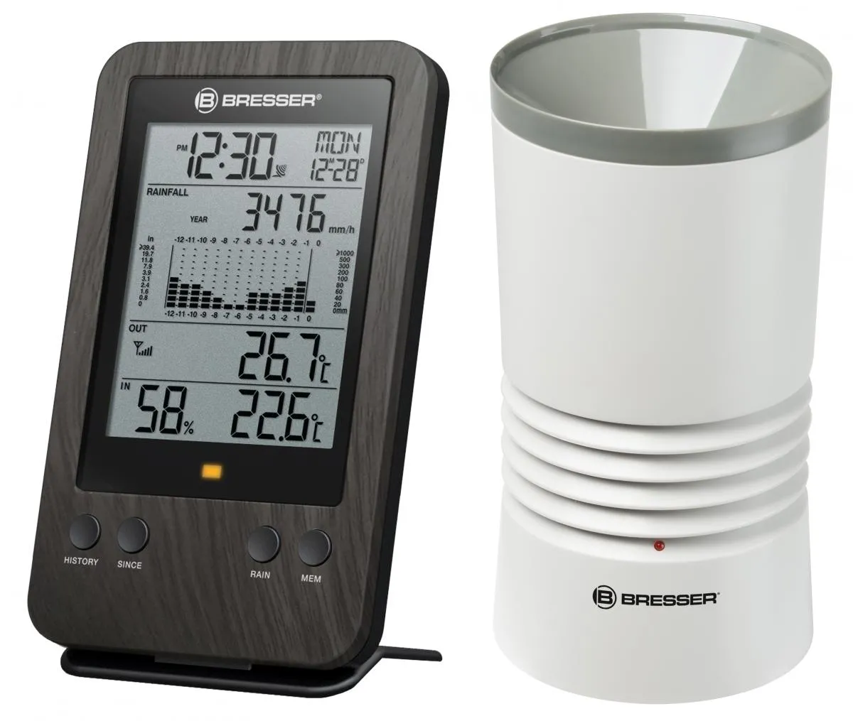 WTW Profi Regenmesser in Holzoptik