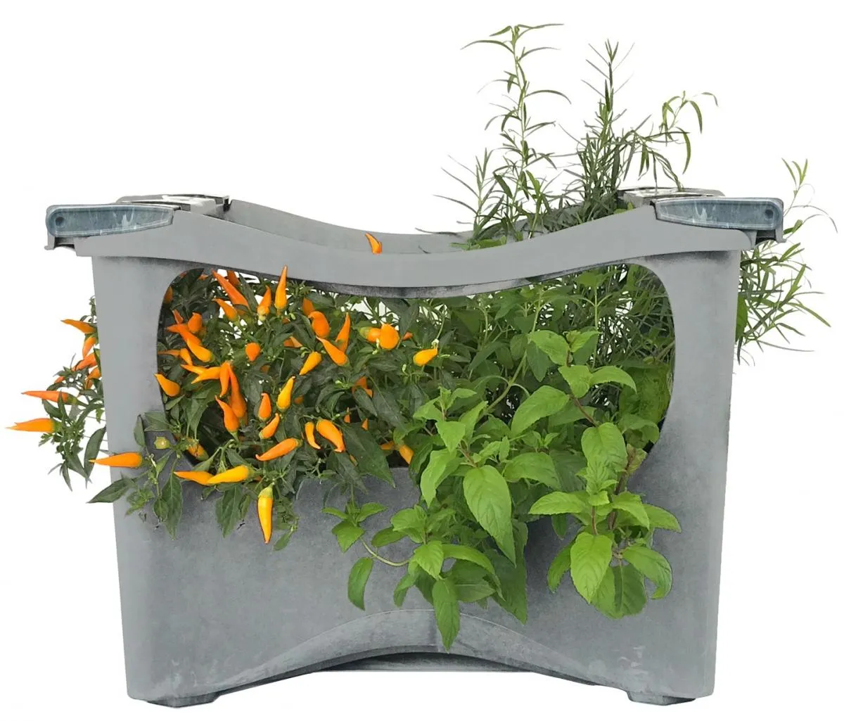 U-greeny Pflanzbox Hellgrau Sichtbeton