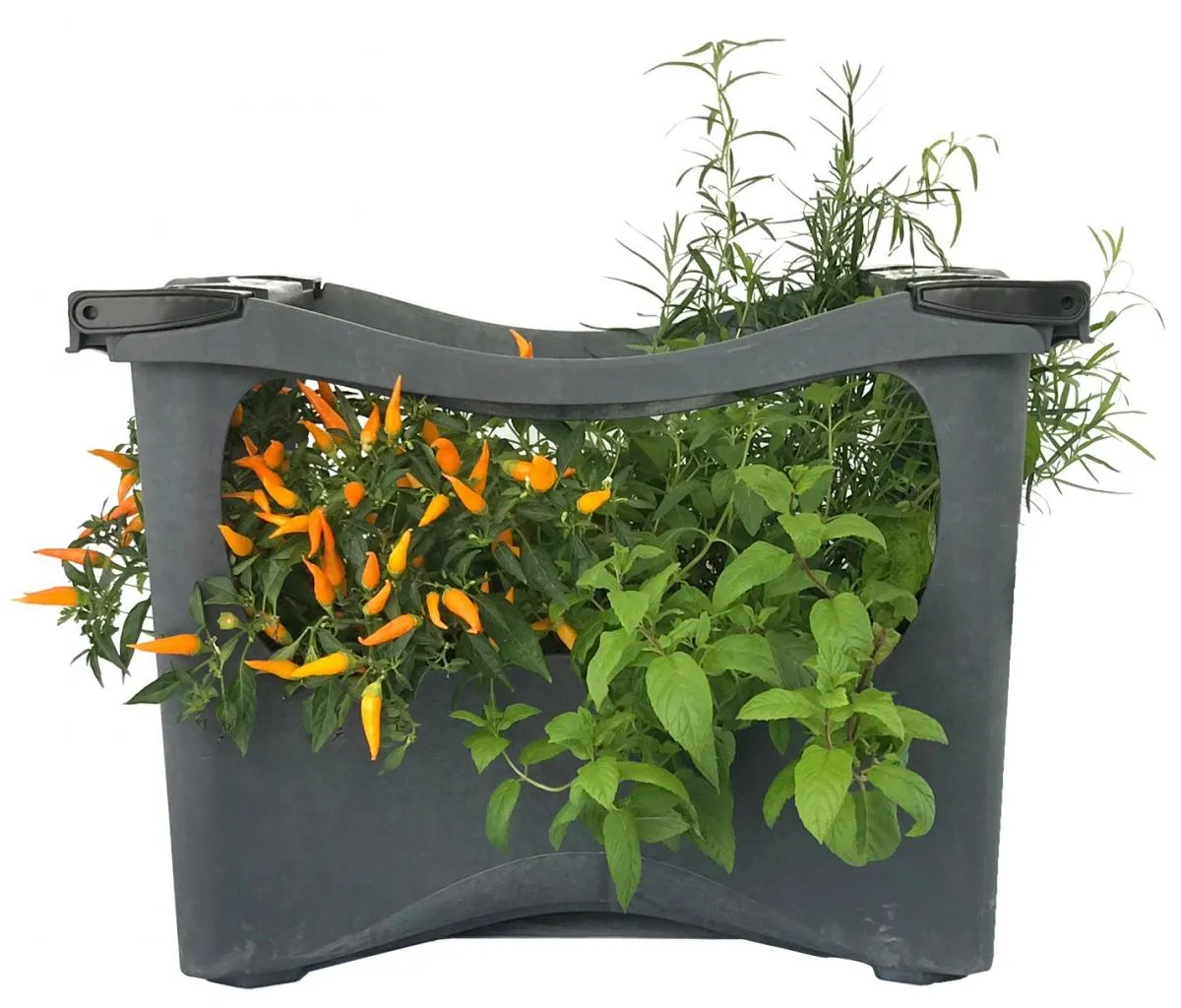 U-greeny Pflanzbox Dunkelgrau Stein