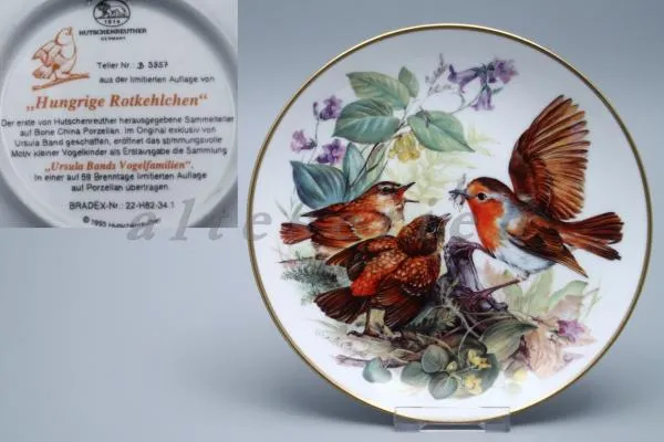 Hungrige Rotkehlchen - Bradex - deutsche Diverse Sammlungen