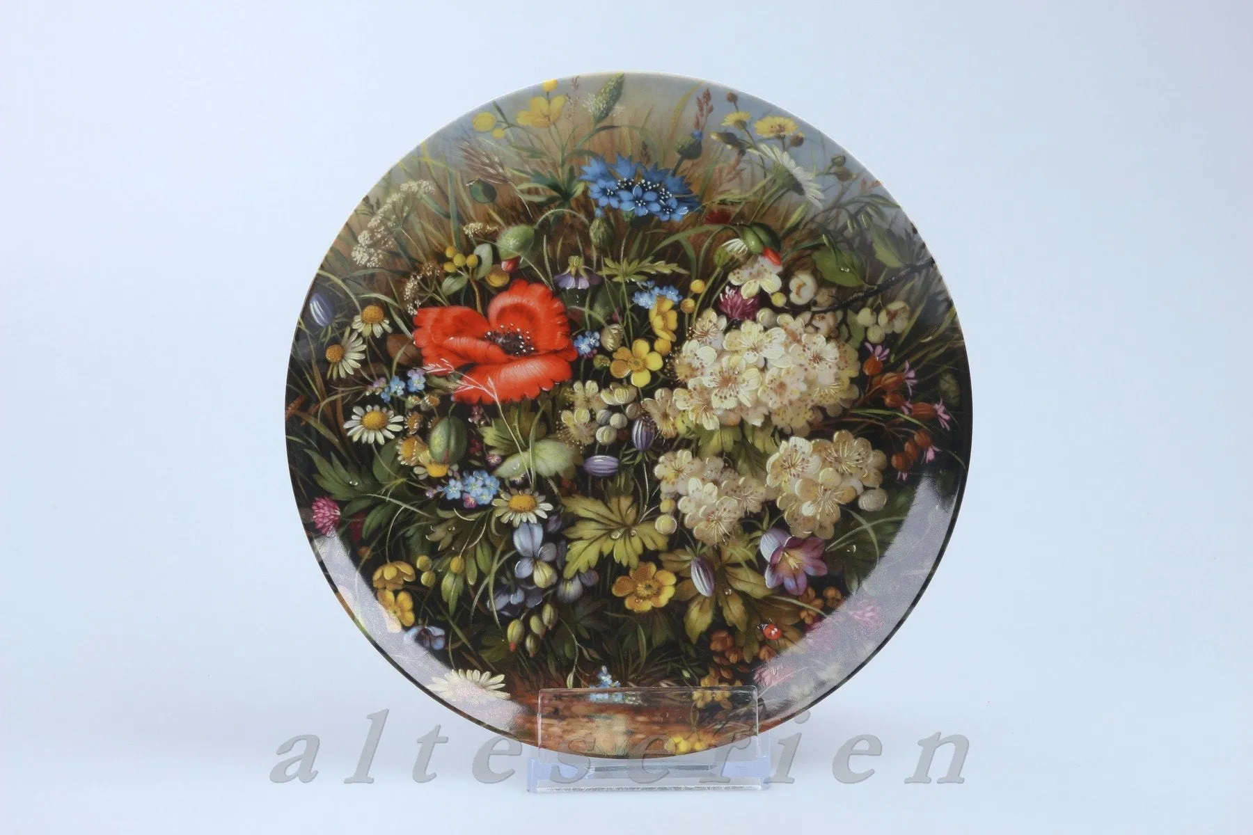 Wandteller - Bradex - deutsche Wilde Schönheiten