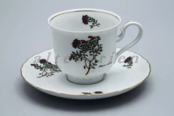 Kaffeetasse mit Untere Nr. 4 - Königl. pr. Tettau Alexander v. Humboldt