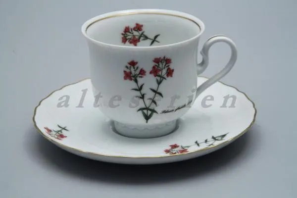 Kaffeetasse mit Untere Nr. 1 - Königl. pr. Tettau Alexander v. Humboldt