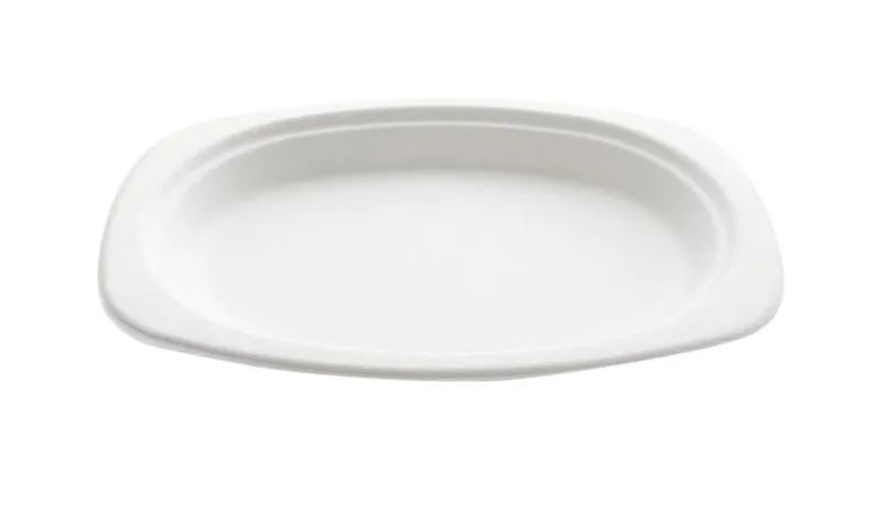 Scopri il piatto ovale in polpa 23x16,5 cm — Tirolix