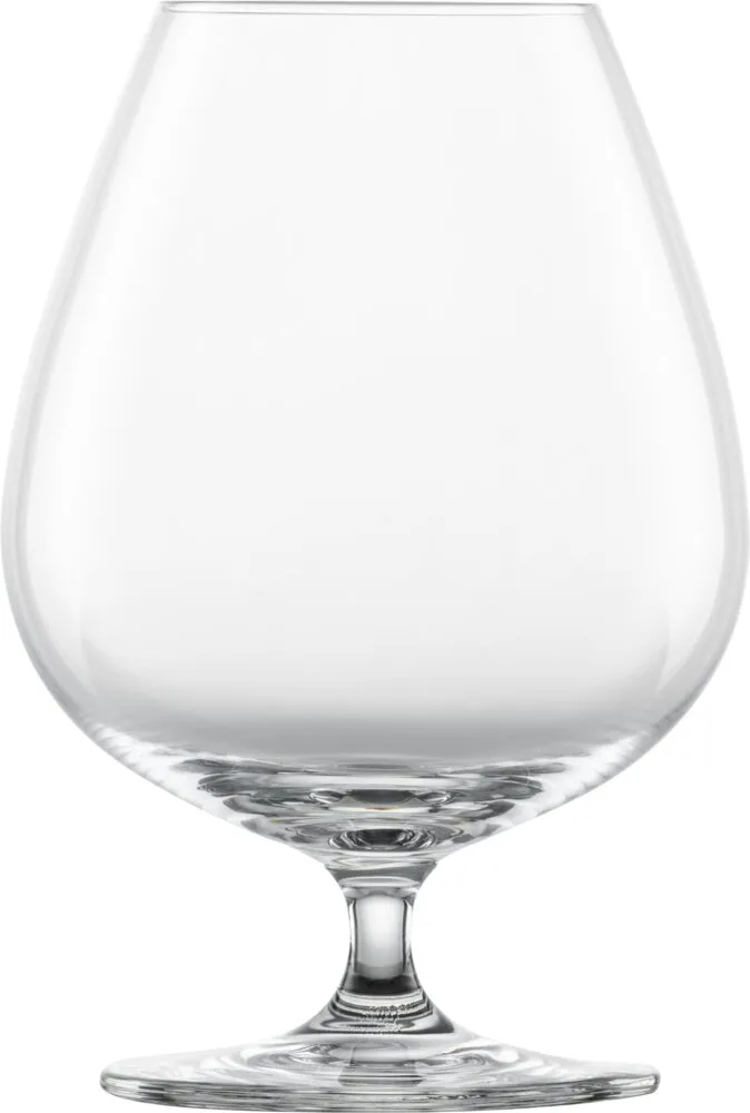 Schott Zwiesel Cognac Bar Special 45