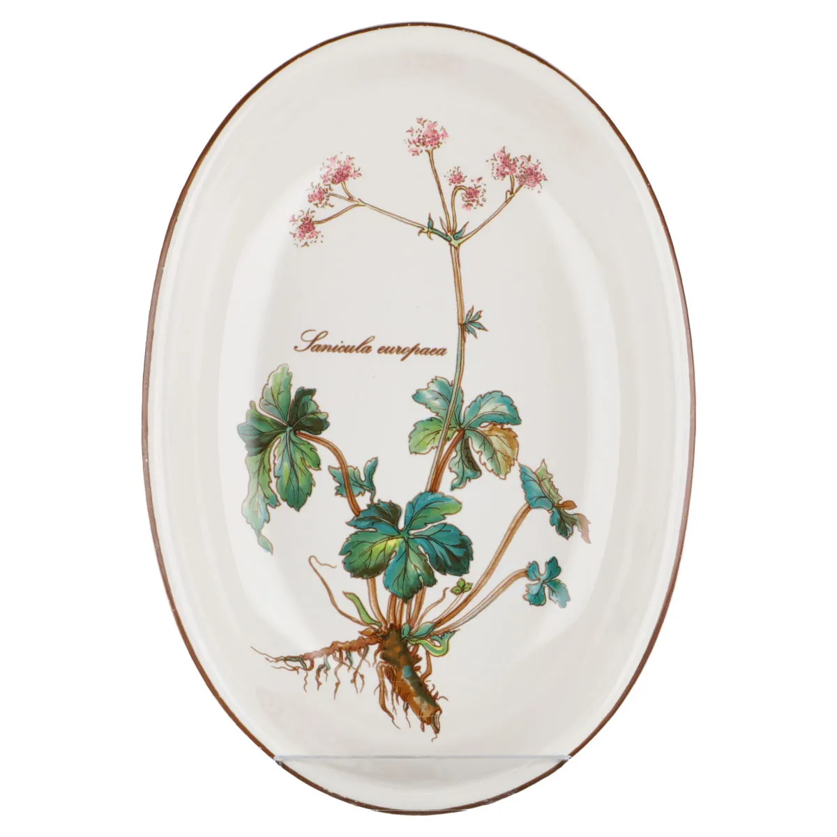 Beilagenschale oval Sanicula europaea klein - Villeroy & Boch Botanica