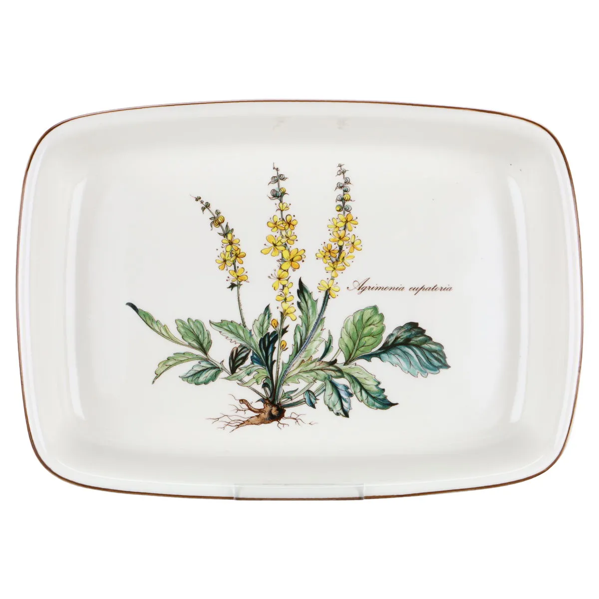Auflaufform eckig Agrimonia eupatoria mittelgroß - Villeroy & Boch Botanica
