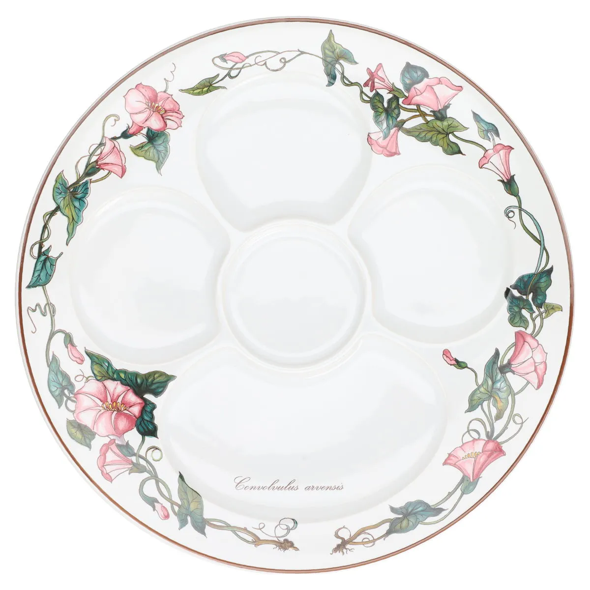 Fondueteller Convolvulus arvensis - Villeroy & Boch Botanica