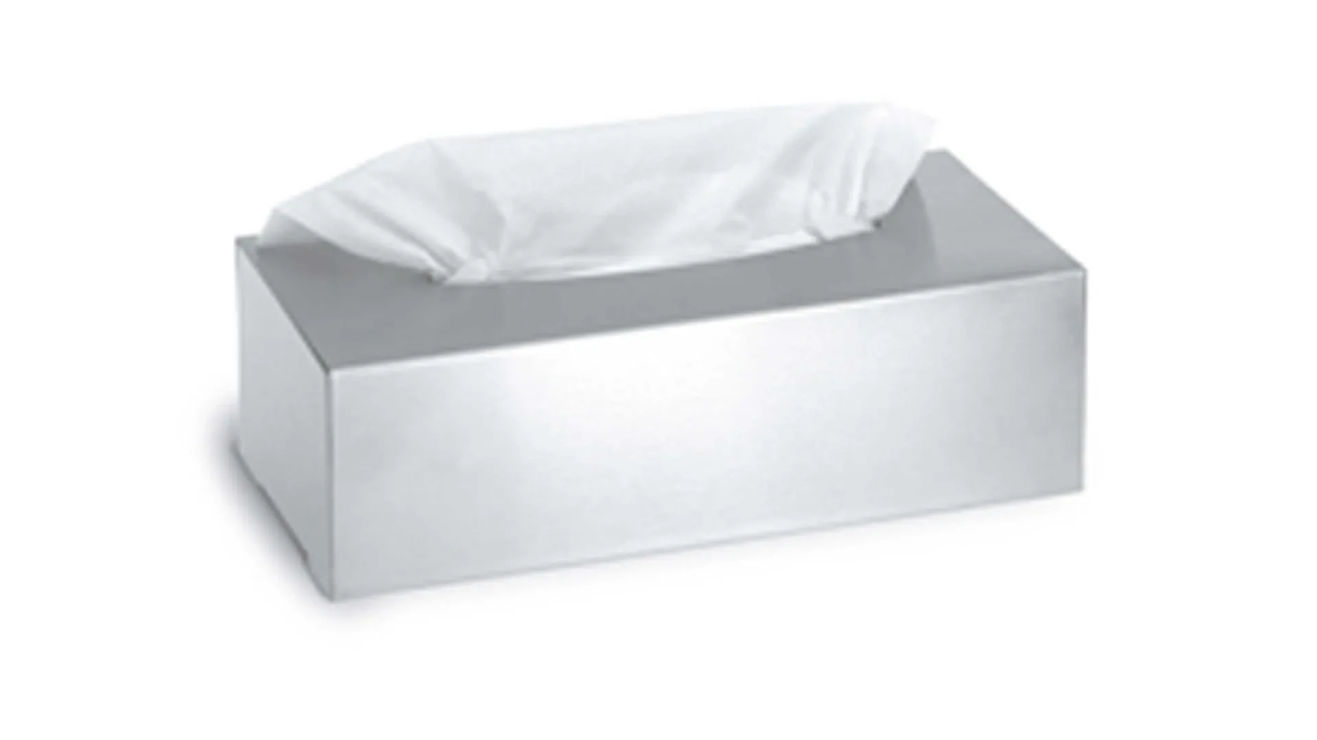 blomus Kosmetiktuchbox Nexio, matter Edelstahl – ca. 24 x 8 x 12 cm