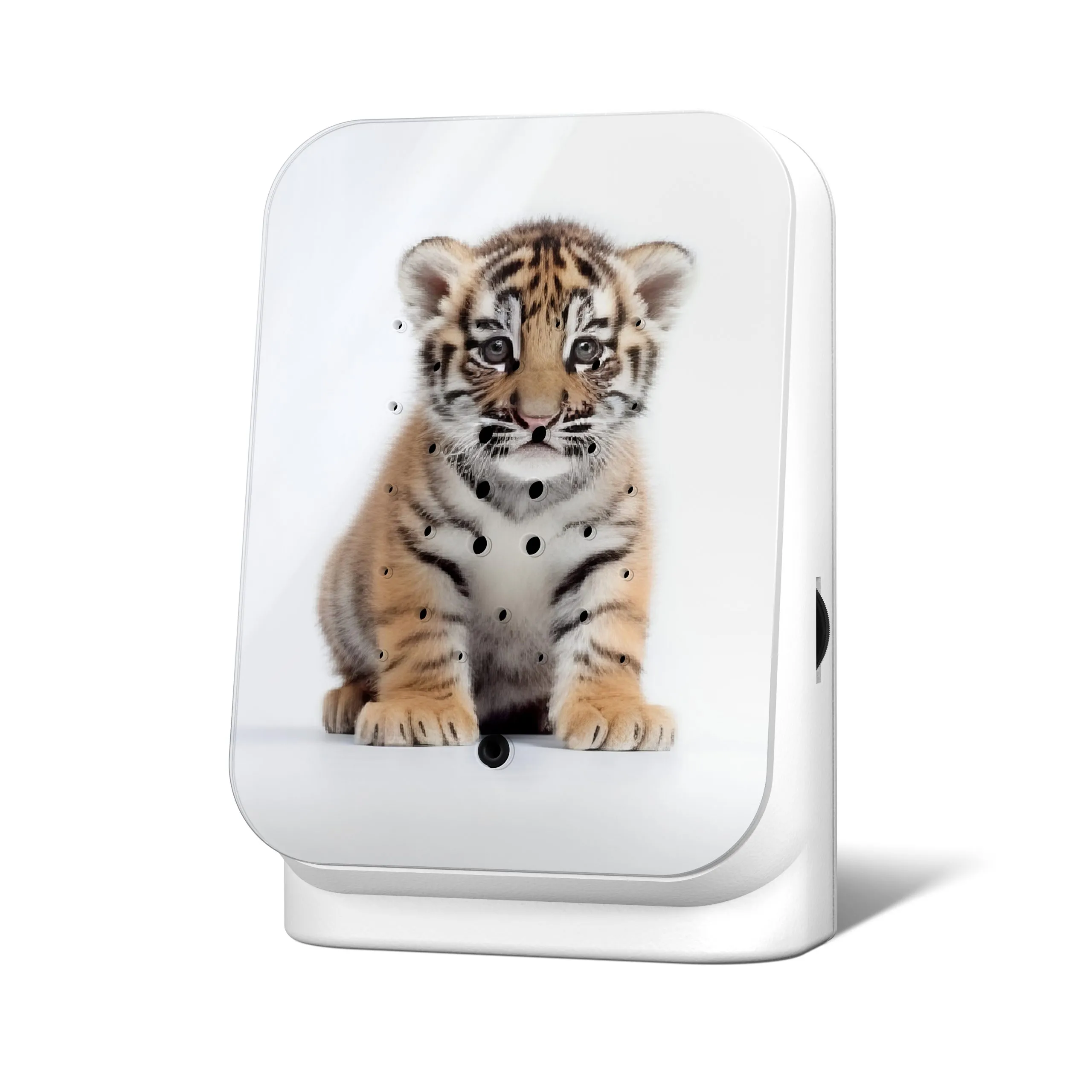 Junglebox Limited Edition Spring 25 Baby Tiger