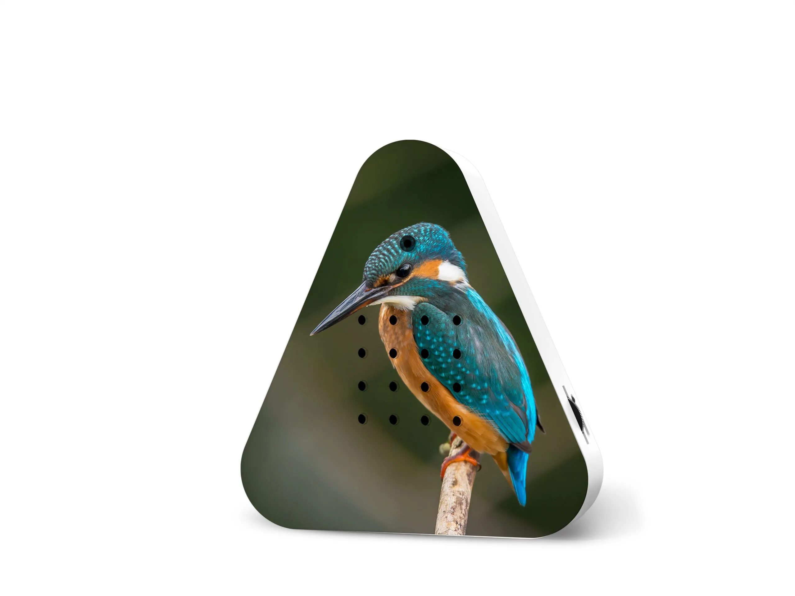 Lakesidebox Limited Edition Spring 25 Kingfisher