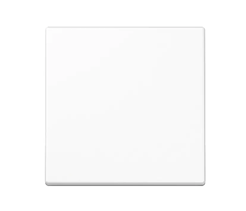 Jung 1-fach Wippe Blende Schalterabdeckung 55x55mm Alpinweiss