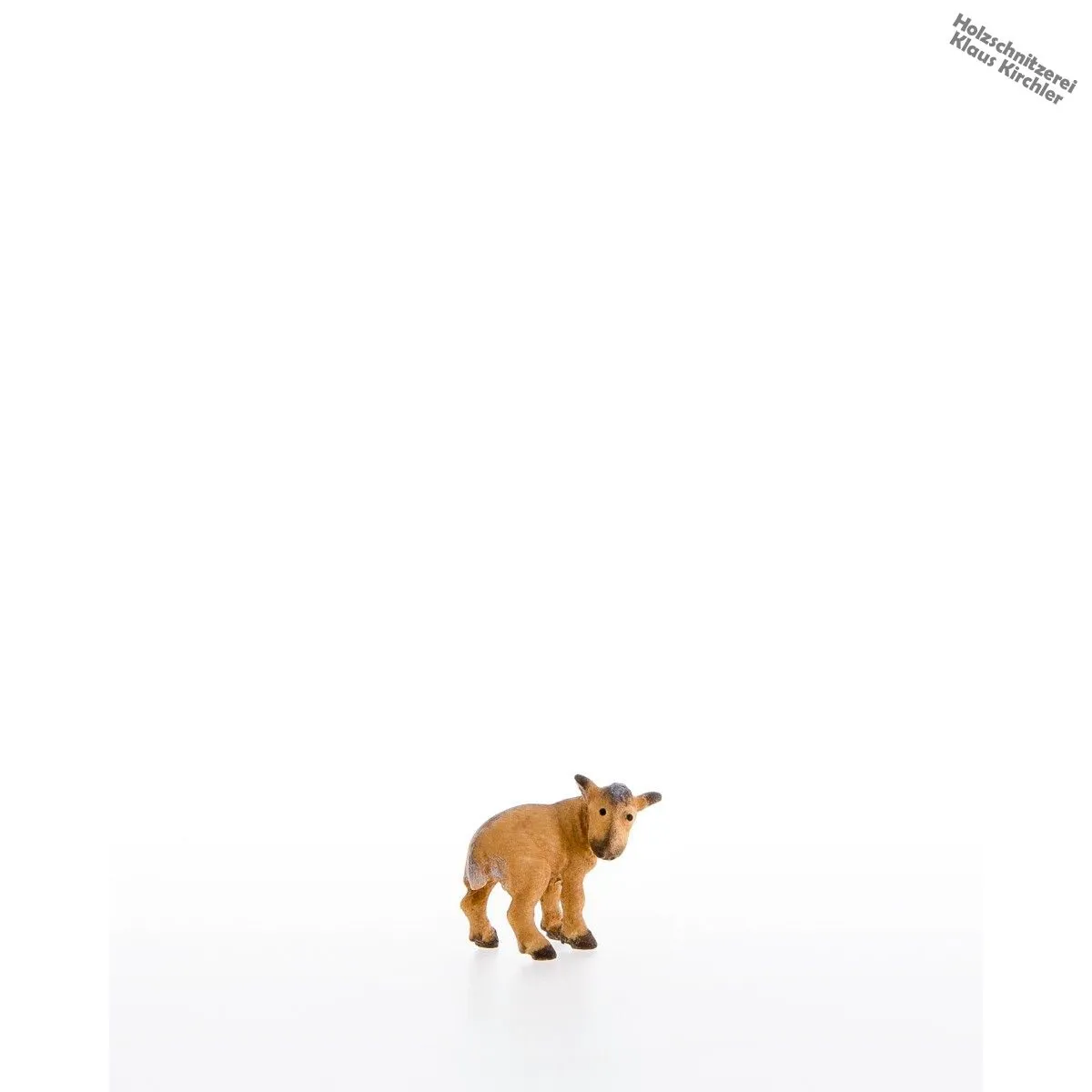 Capretto con lo sguardo verso dietro