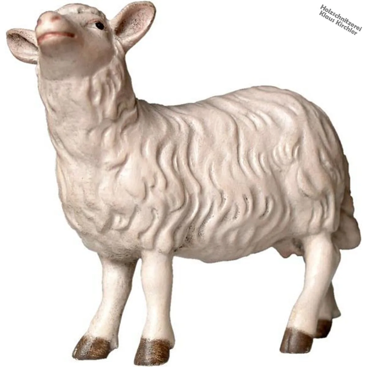 Pecora testa alta s.p.