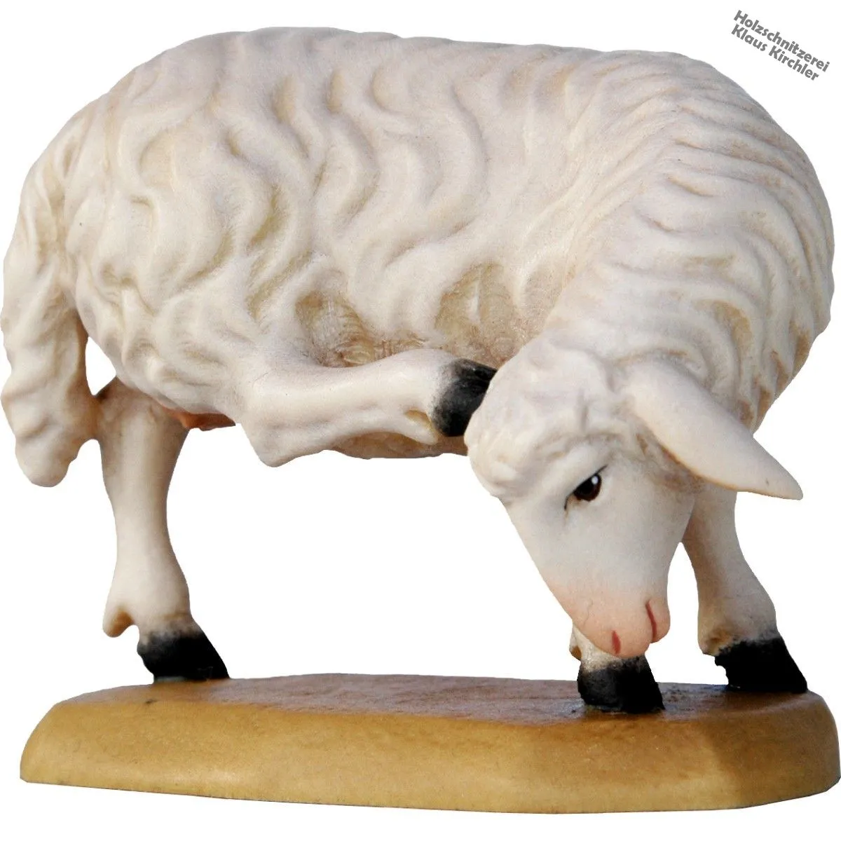 Schaf mit Bein am Kopf