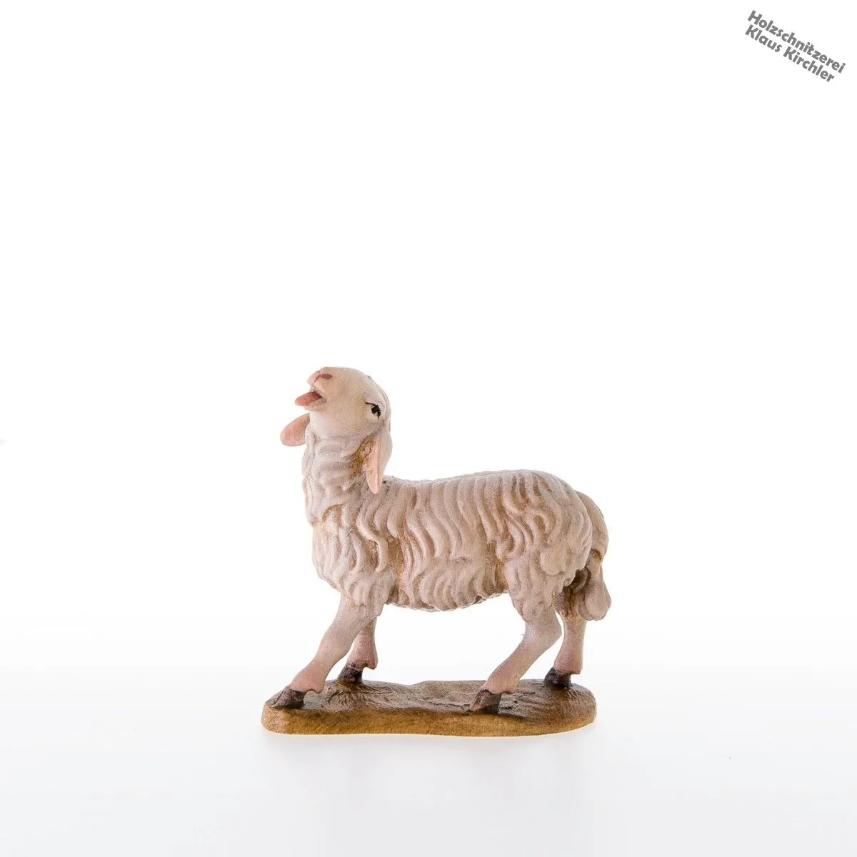 Schaf mit erhobenen Kopf