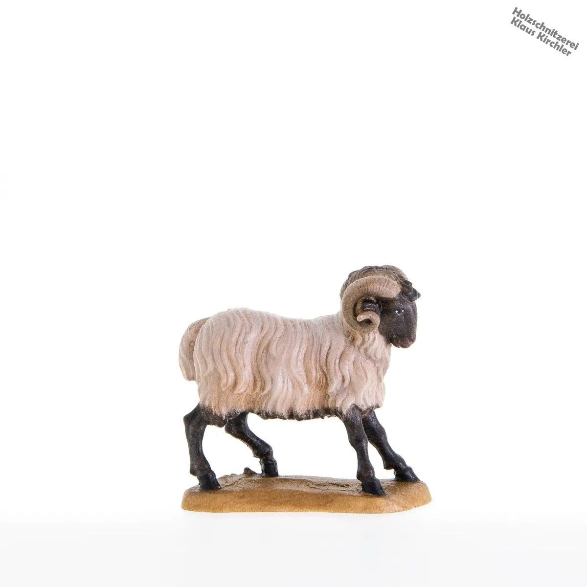 Carnero de cabeza negra