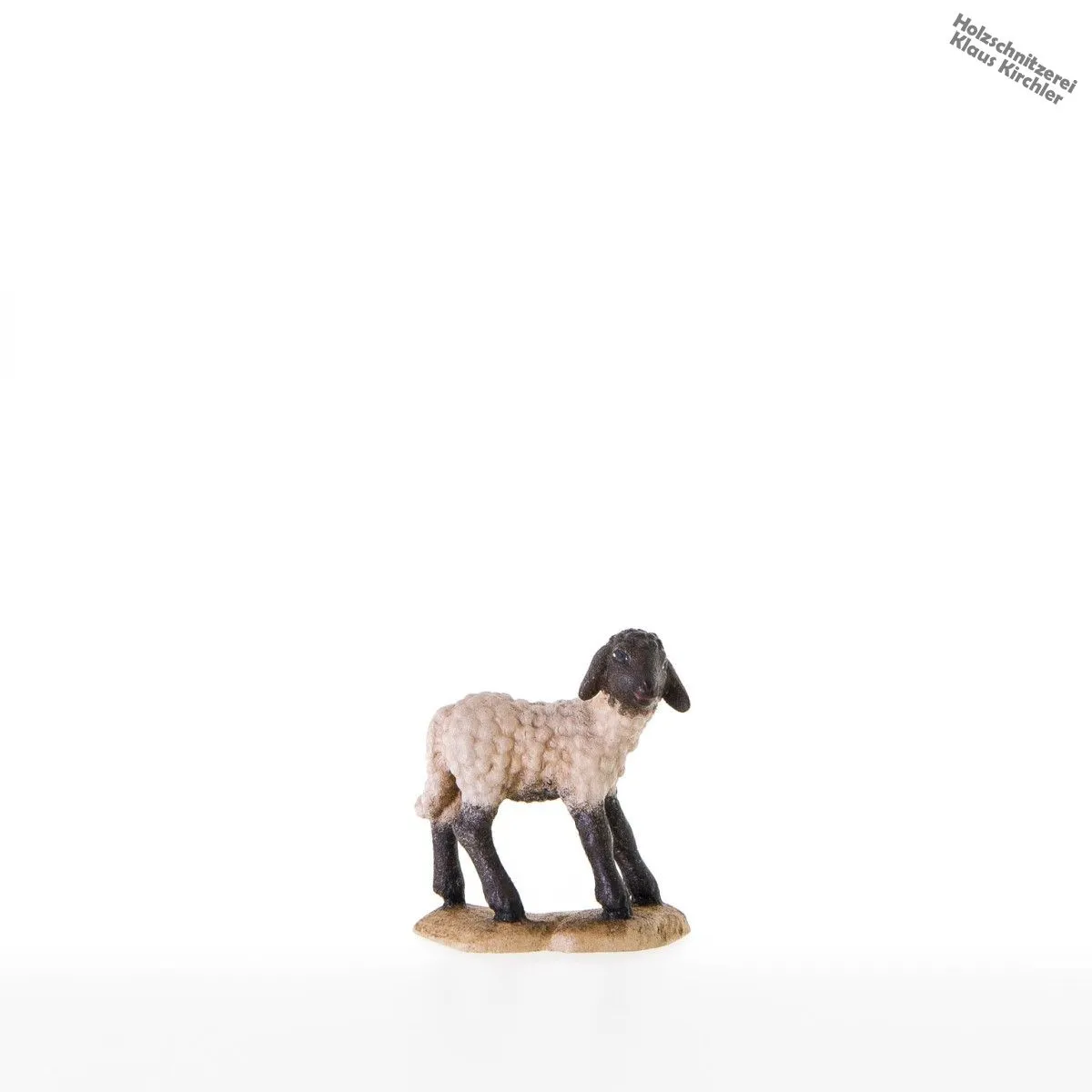 Agnello con testa nera