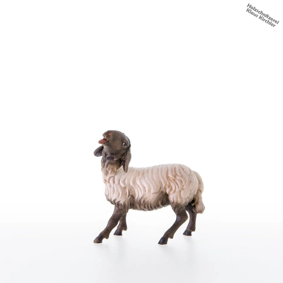 Schwarzkoepfiges Schaf