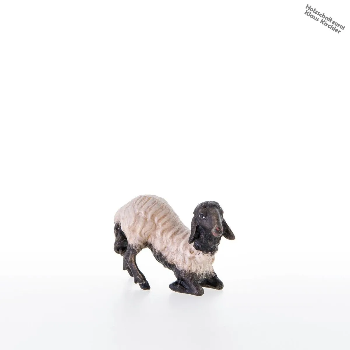 Schwarzkoepfiges Schaf kniend