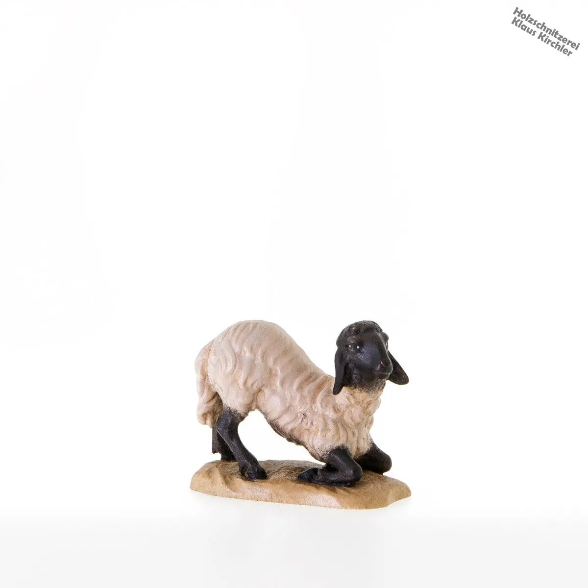 Pecora inginocchiata con testa nera