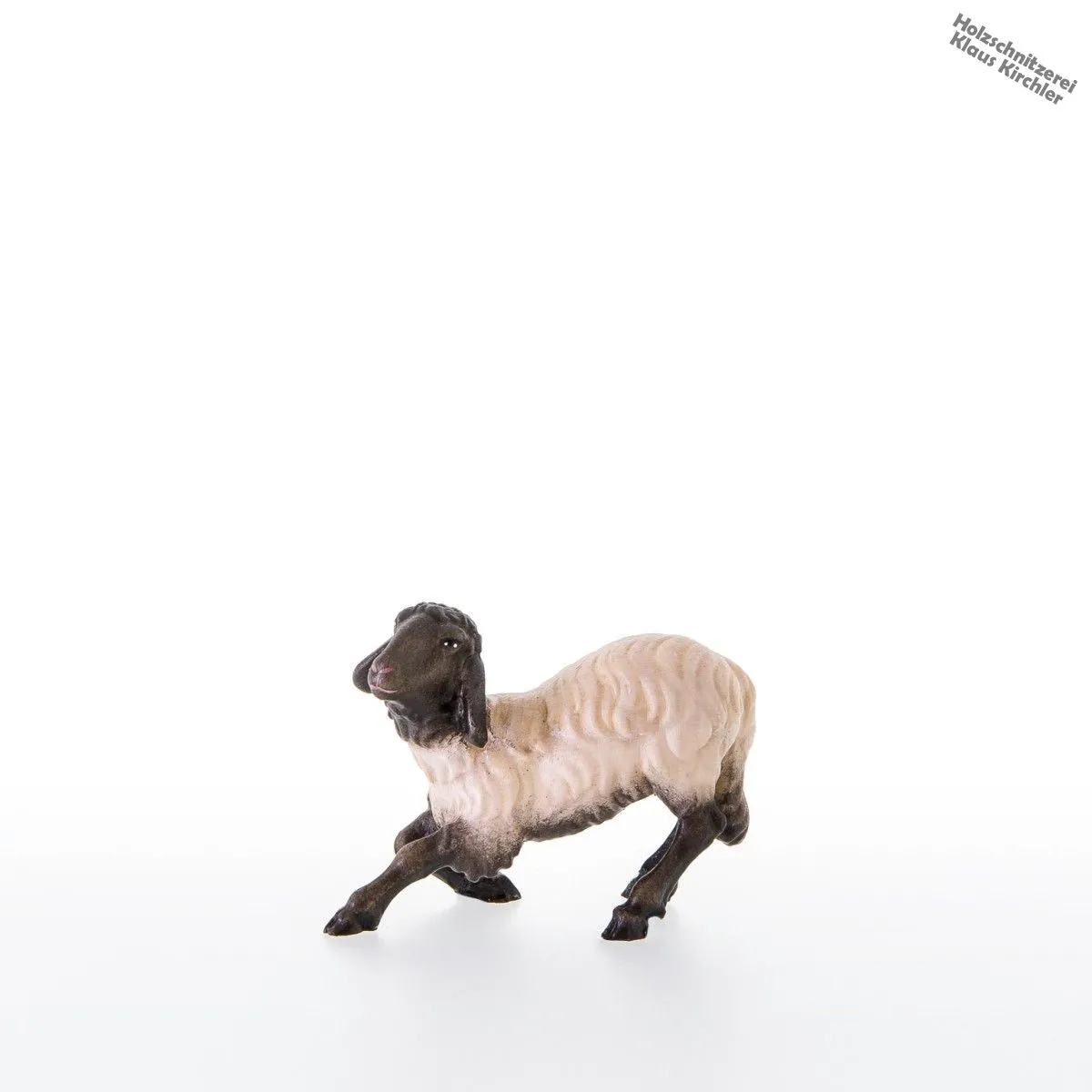 Pecora con testa nera inginocchiata