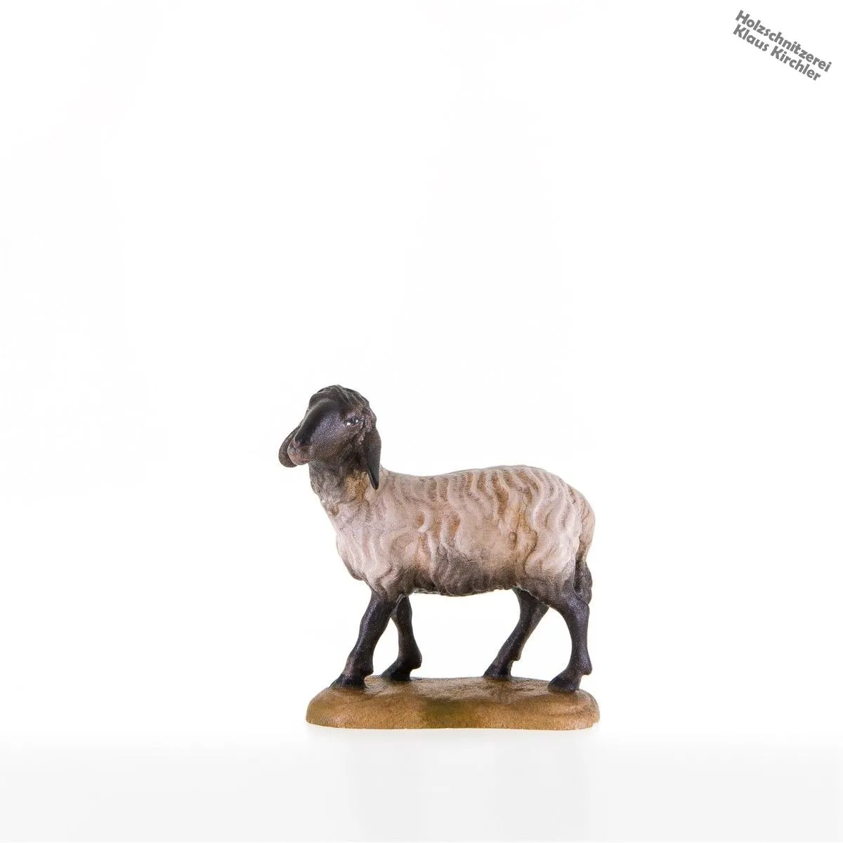 Sheep with black head