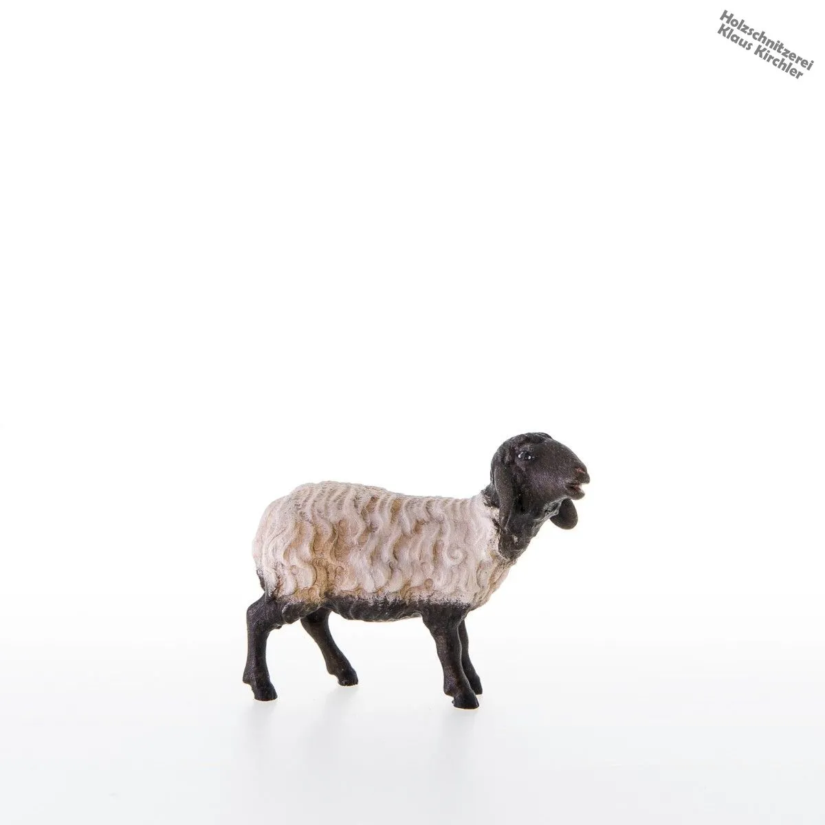 Oveja de cabeza negra de pie