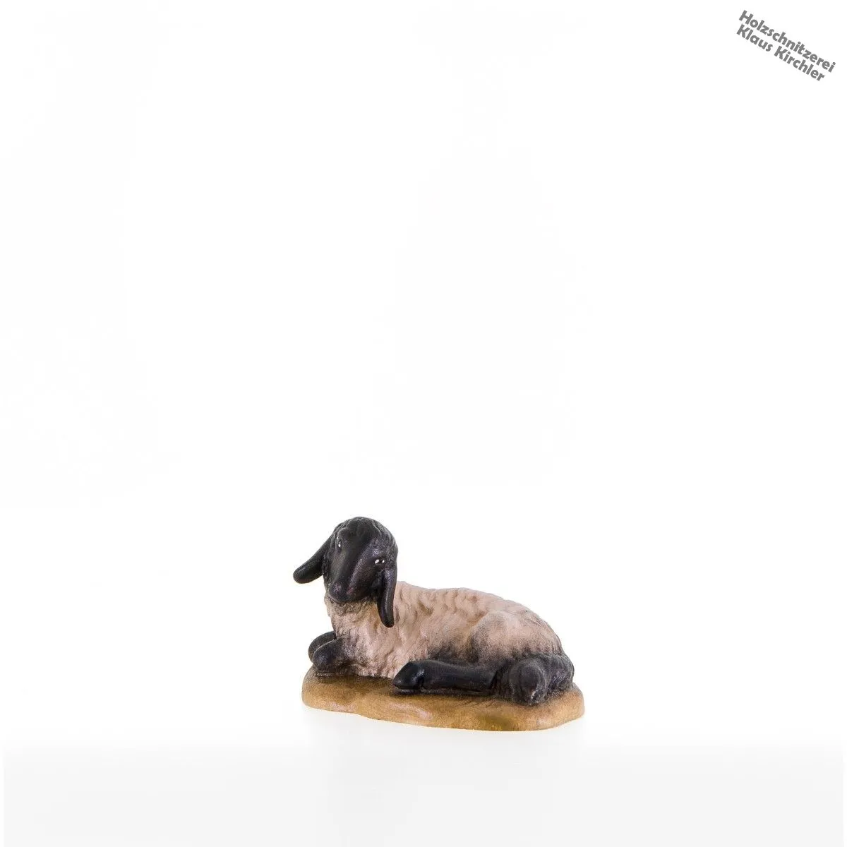 Schwarzkopfschaf liegend