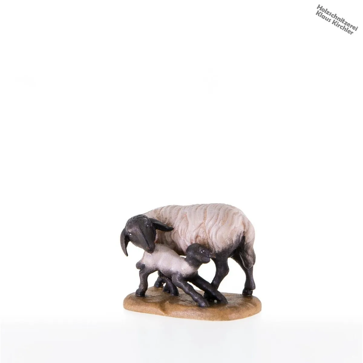 Schwarzkopfschaf mit Lamm